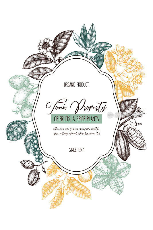 Exotic and tonic plants vector design template